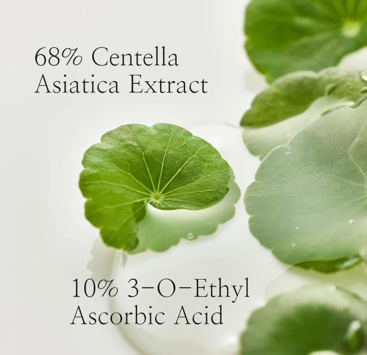 Korean Skincare Lightweight Serum - Vitamin C & Centella Pigmentation Correcting Serum Hydrating Ampoule Moisturizes Skin