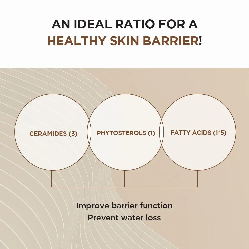 SKIN1004 مدغشقر كينتيللا بروبيو-سيكا أمبولة مكثفة 50 مللي سيروم العناية بالبشرة الكوري جوهر كينتيللا سيكا