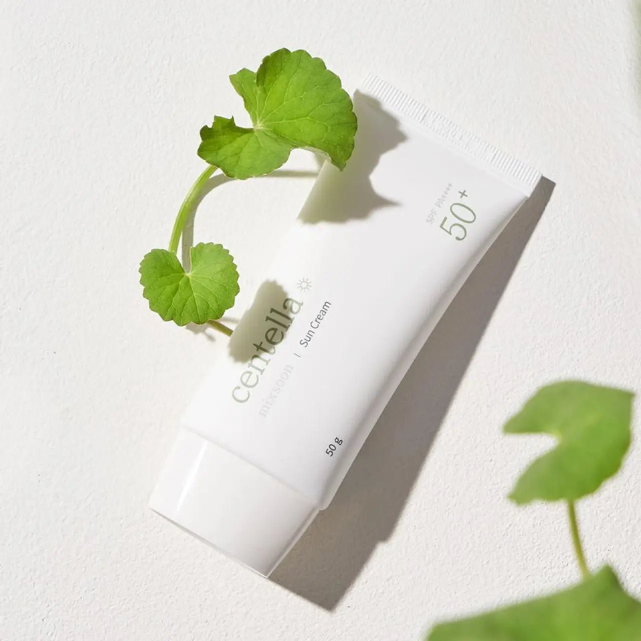Mixsoon Centella Sun Cream 50g Korean Skin Care Sunscreen SPF 50 Centella - Skin Glowing