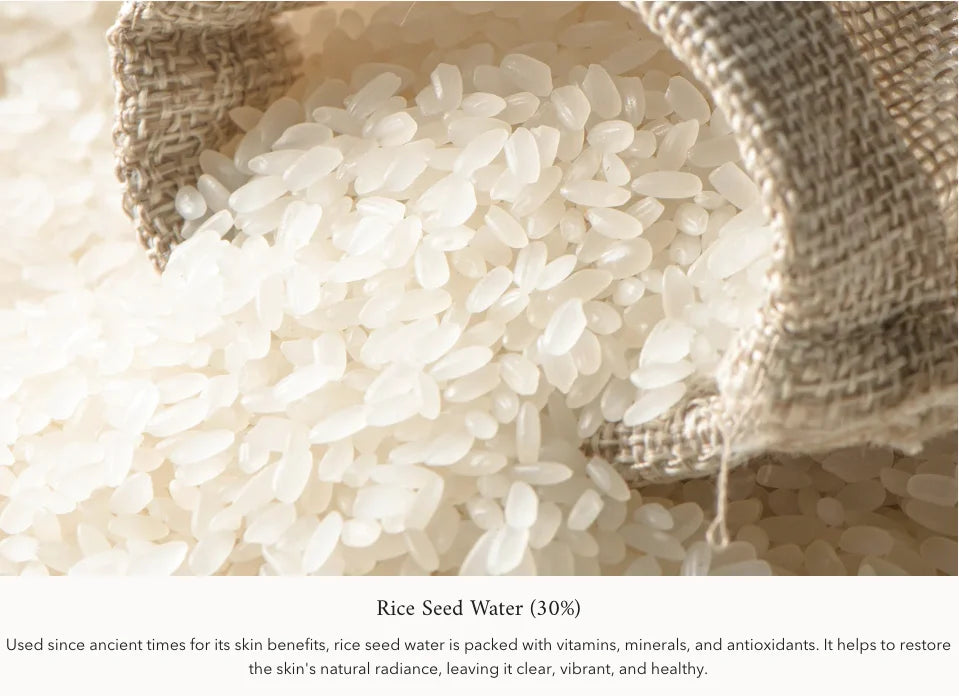Korean Skin Care Beauty Product Anti-aging Care SPF 50 Sunscreen Beauty of Joseon Relief Sun Aqua-Fresh Rice Probiotics 50ml